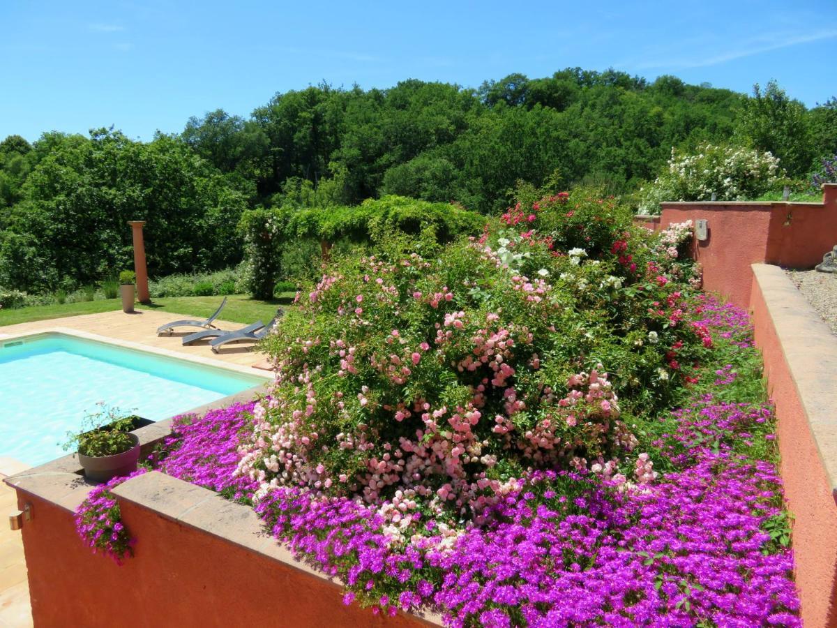 Domaine Les Causeries Laguepie Luaran gambar