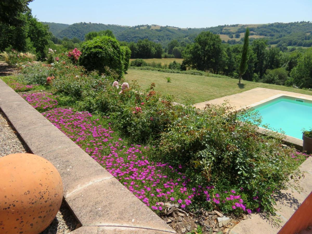 Domaine Les Causeries Laguepie Luaran gambar